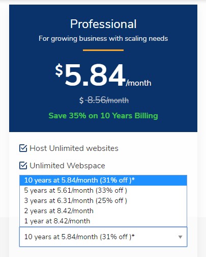 Web Hosting in India - ZNet Live prices