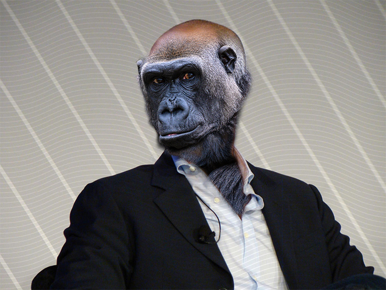 Drew goes “ape” with ApeWorld.com acquisition :DomainGang 3 Drew goes “ape” with ApeWorld.com acquisition :DomainGang