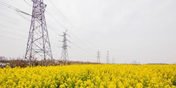 The Benefits of Powered Land 1 PointOne